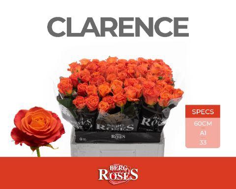 <h4>R GR CLARENCE+ 60 cm x 60</h4>