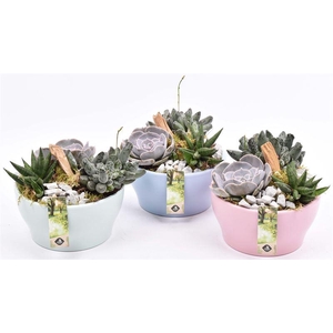 Keramiek schaal kl.mix 18.5cm