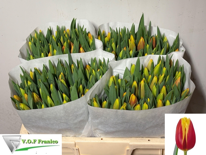 <h4>TU EN DOW JONES</h4>