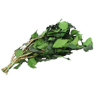 Bunch Hedera Preserved 150g