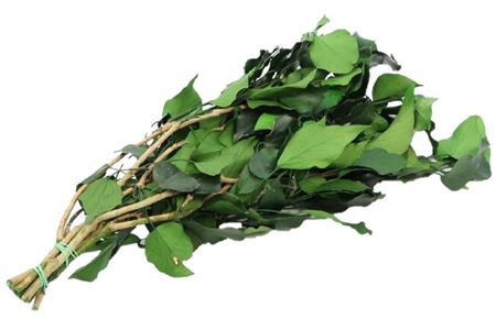 Bunch Hedera Preserved 150g