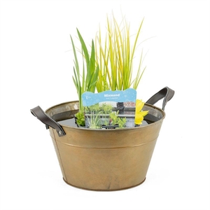 Terrasvijver zink roest incl. mand