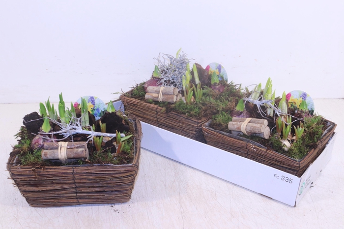 <h4>ARR BOL KNOLGEWAS</h4>