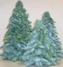 KERSTBOOM SNEEUW 50CM