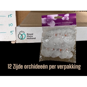 HUIS EN TUINDECO H%