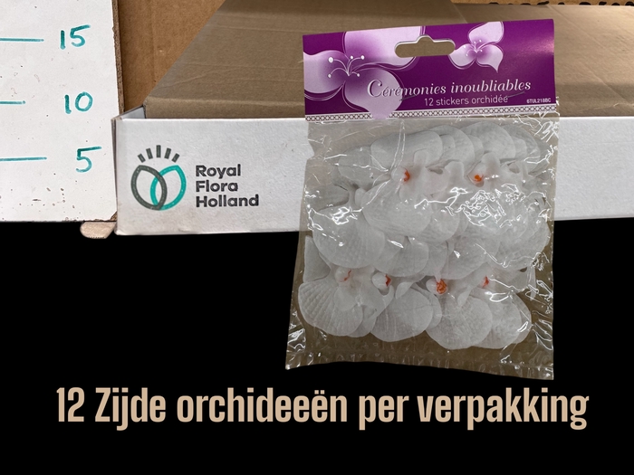 <h4>HUIS EN TUINDECO H%</h4>
