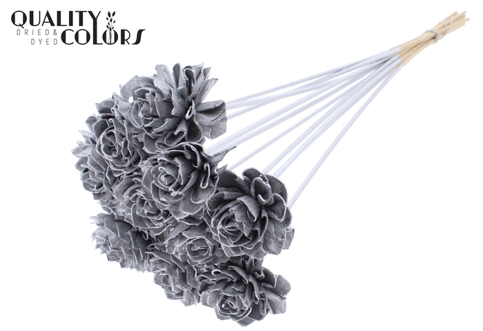 Shola Dahlia 6cm on stem Silver