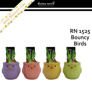 1525 - Bouncy Birds (Tete a Tete)