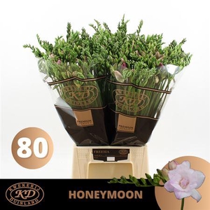 Fr Du Honeymoon Pink X80 Extraa