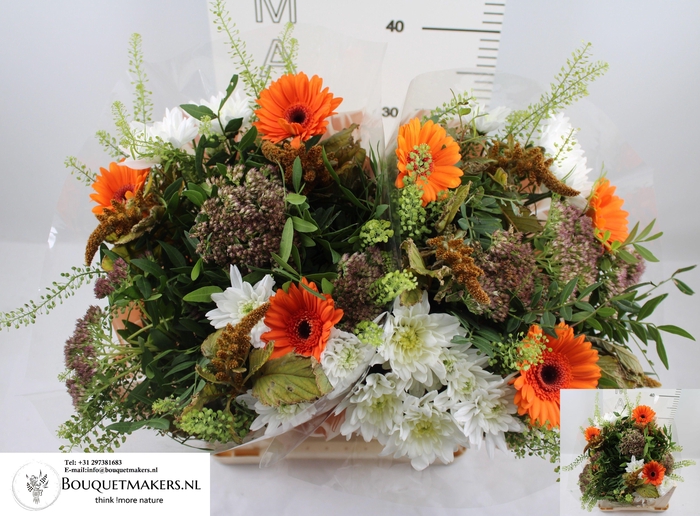 <h4>GEM BOEKET OV</h4>