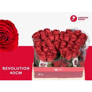 R Gr Revolution