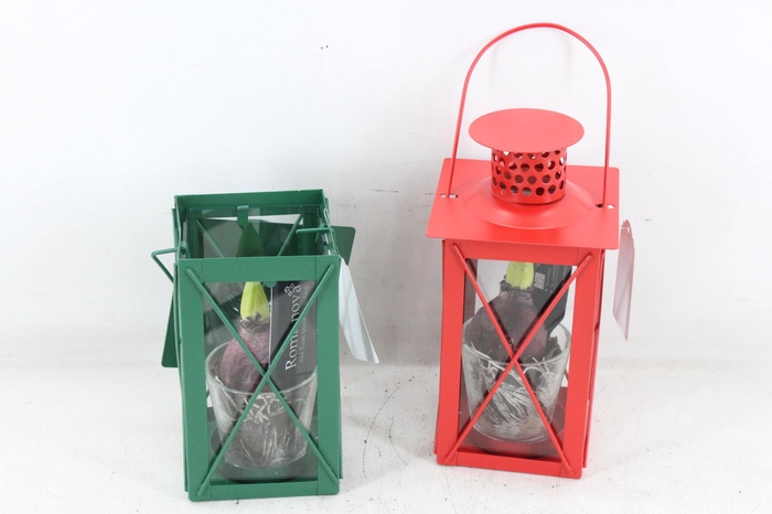 <h4>arr4 Hyacint RN - Cozy candle</h4>