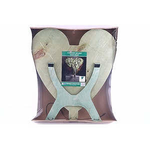Oasis Bioline Titan Heart 75x73cm