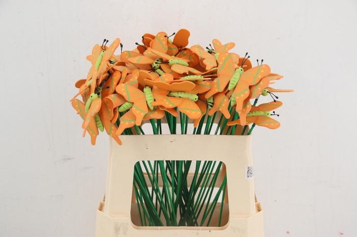 <h4>Stick butterfly wood 7x8cm Orange</h4>