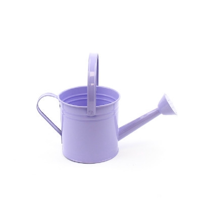 <h4>Zinc Watering can d14.5*14.5cm</h4>