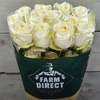 R GR CANDLELIGHT (BOX)