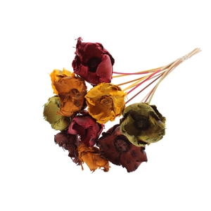 Palm cup on stem Bleached  Pumpkin Spice