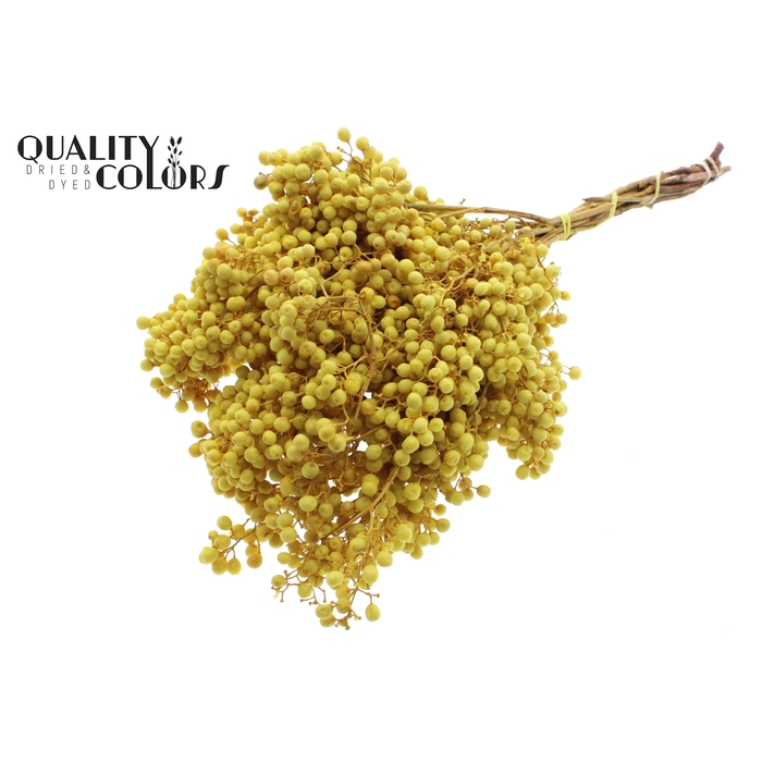 <h4>Pepperberries per bunch in poly Yellow</h4>