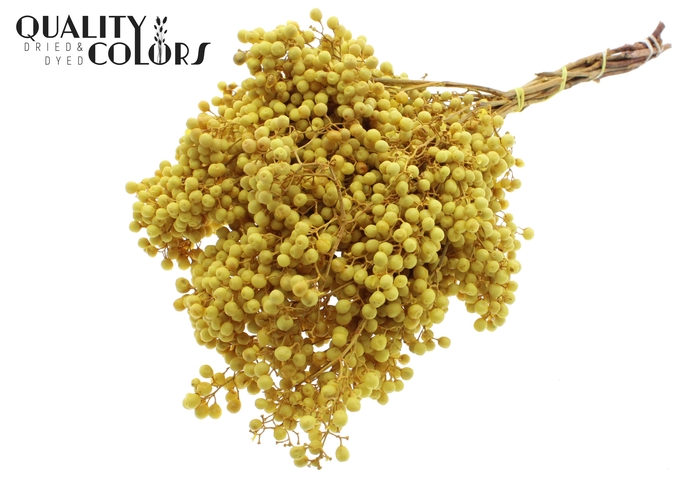 Pepperberries per bunch in poly Yellow