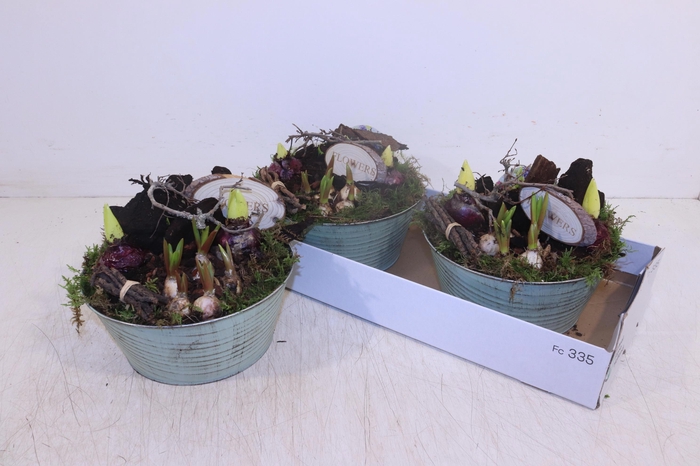 <h4>ARR BOL KNOLGEWAS</h4>