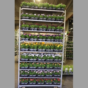 Osteo Gem Mixk 1 Kleur Per Tray