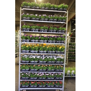 arr8 Osteo Gem Mixk 1 Kleur Per Tray