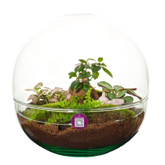 <h4>Wardians Terrarium - Earth large</h4>