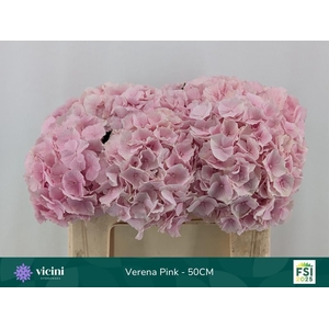 HYDR M CH VERENA