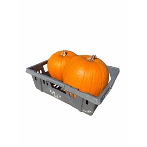 CUC HALLOWEEN