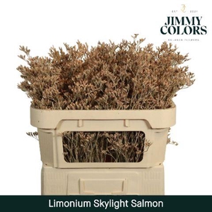 Lim Skylight L80 Salmon