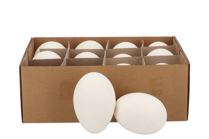 <h4>Eggs Ganzen Naturel Per 12</h4>