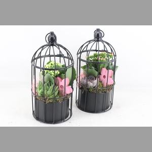 arr2 MB - Vogelkooi black 338/6 - roze/wit