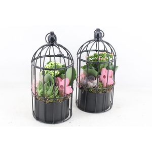 Arr2 Mb - Vogelkooi Black 338/6 - Roze/wit