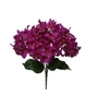 Bunch Bougainvillea L46W24H24