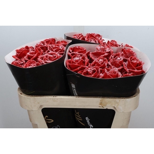 Wax-Rozen Wax Wit Zilver glitter