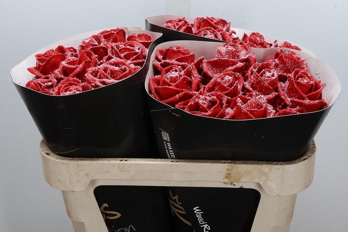 <h4>Wax-Rozen Wax Wit Zilver glitter</h4>