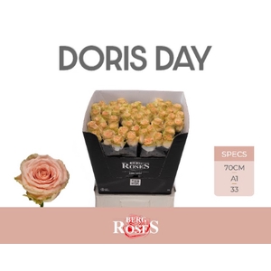 R Gr Doris Day