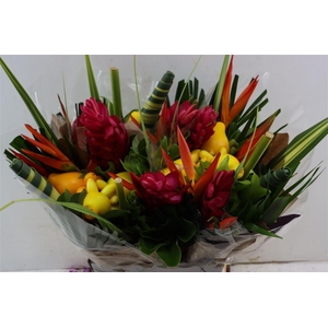 Helic Bqt Rond Med Aria (pig Face)