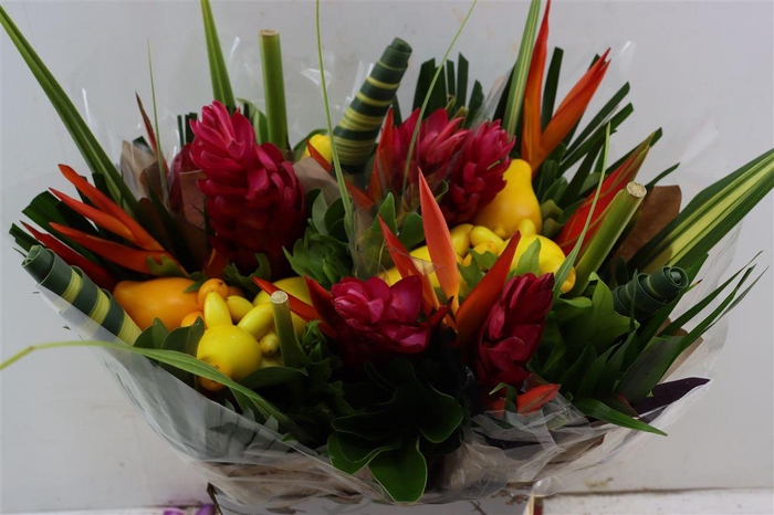 <h4>Helic Bqt Rond Med Aria (pig Face)</h4>