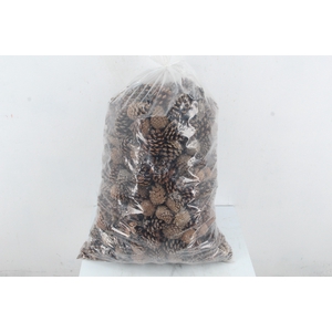Pinecone Natural Bag 5kg