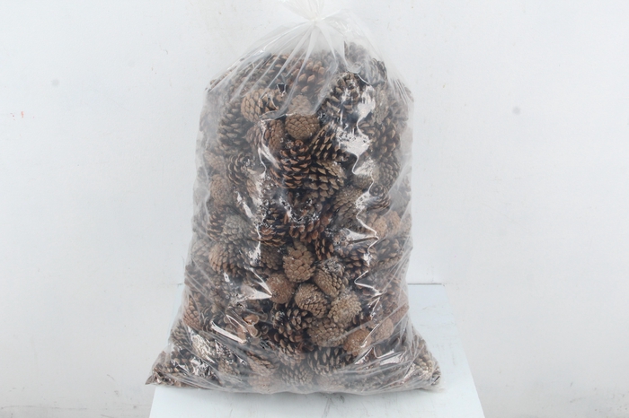 <h4>Pinecone Natural Bag 5kg</h4>