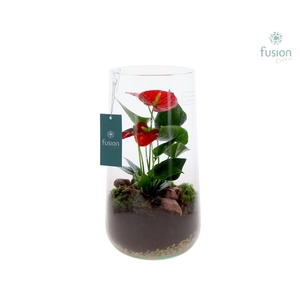 Green Bottle Deline XLarge met Anthurium