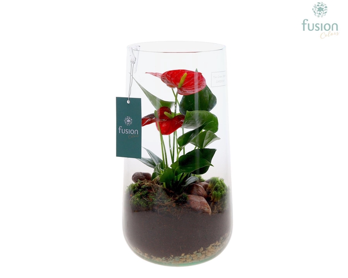<h4>Green Bottle Deline XLarge met Anthurium</h4>