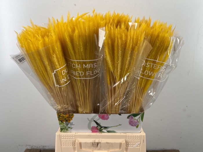 <h4>DROOGBL BEWERKT H%</h4>