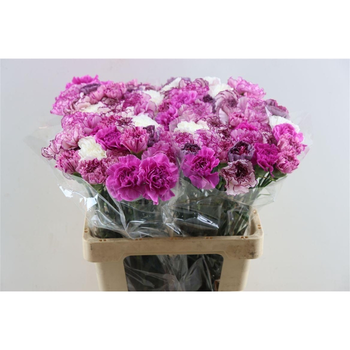 <h4>Di St Mix Lavendel</h4>