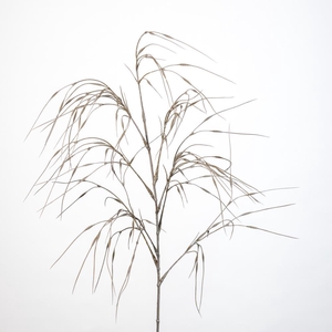 AF Panicum spray L109cm beige