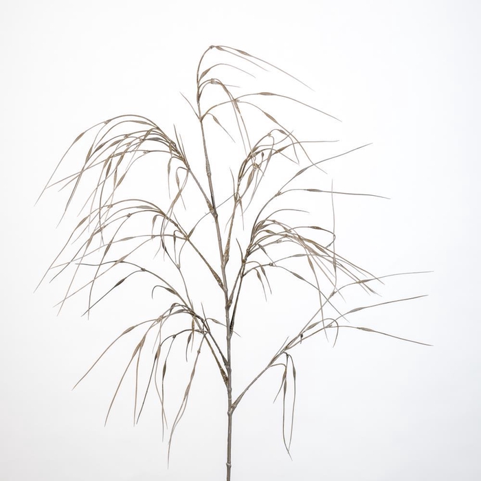 <h4>AF Panicum spray L109cm beige</h4>