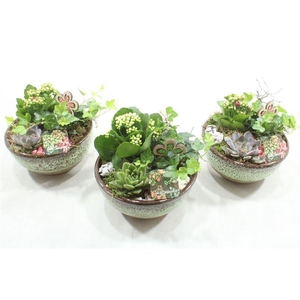 JA554 KER SCHAAL KAL