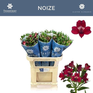 ALSTR NOIZE 60 GR.BLUE BAG