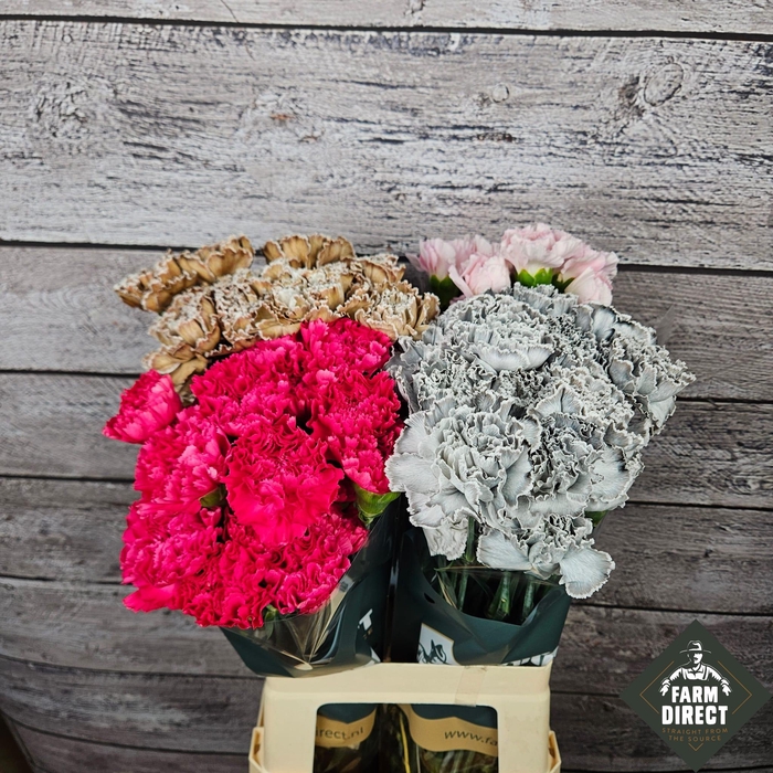 <h4>DI ST GEMENGD IN FUST</h4>